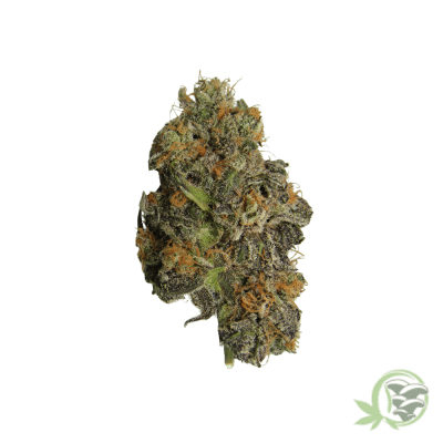 Grapelato Cannabis