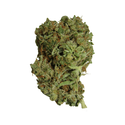 Oil Slick THC Strain