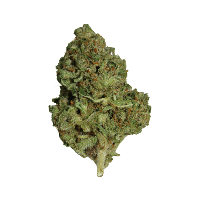 Oil Slick Marijuana Strain