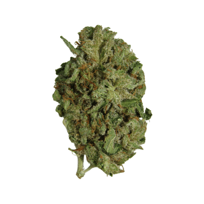 Oil Slick Hybrid Strain