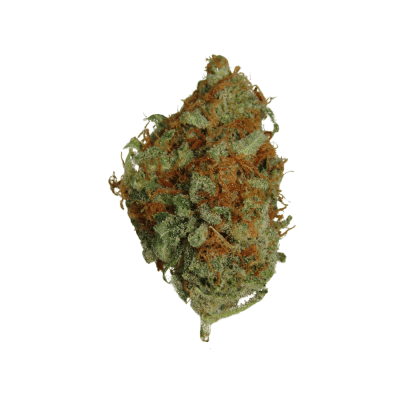 Sweet Skunk Congolese Flower