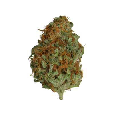 Sweet Skunk Congolese Bud