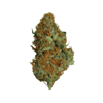 Congolese Sweet Skunk Strain