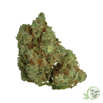 Devil's Crack buds