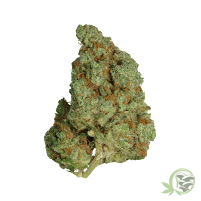 Fat Bastard strain flower