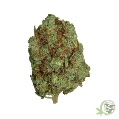 Fat Bastard cannabis strain