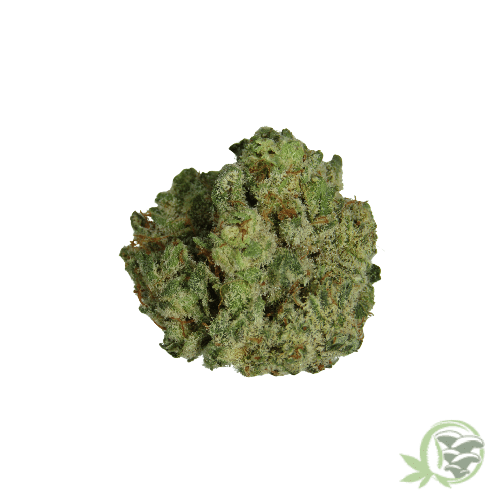 Super Lemon Haze Cannabis