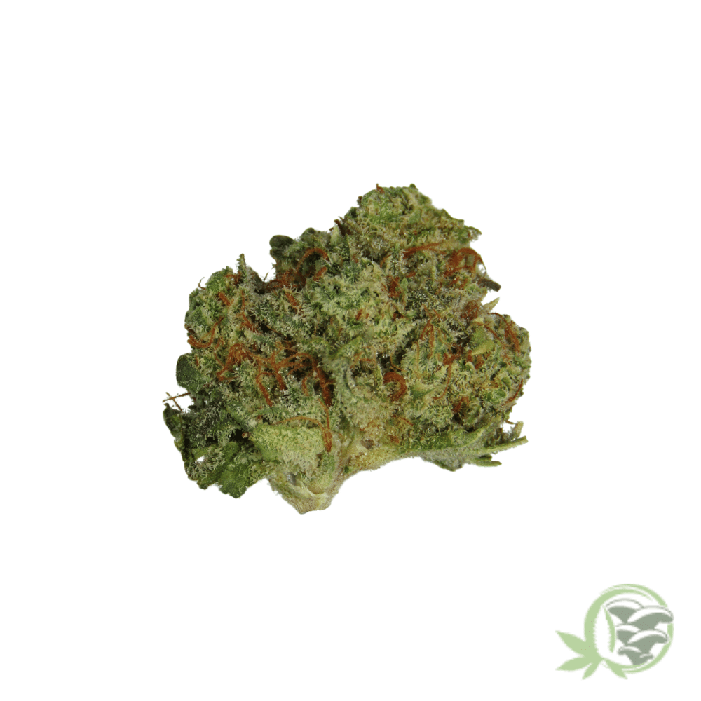 Super Lemon Haze THC Strain
