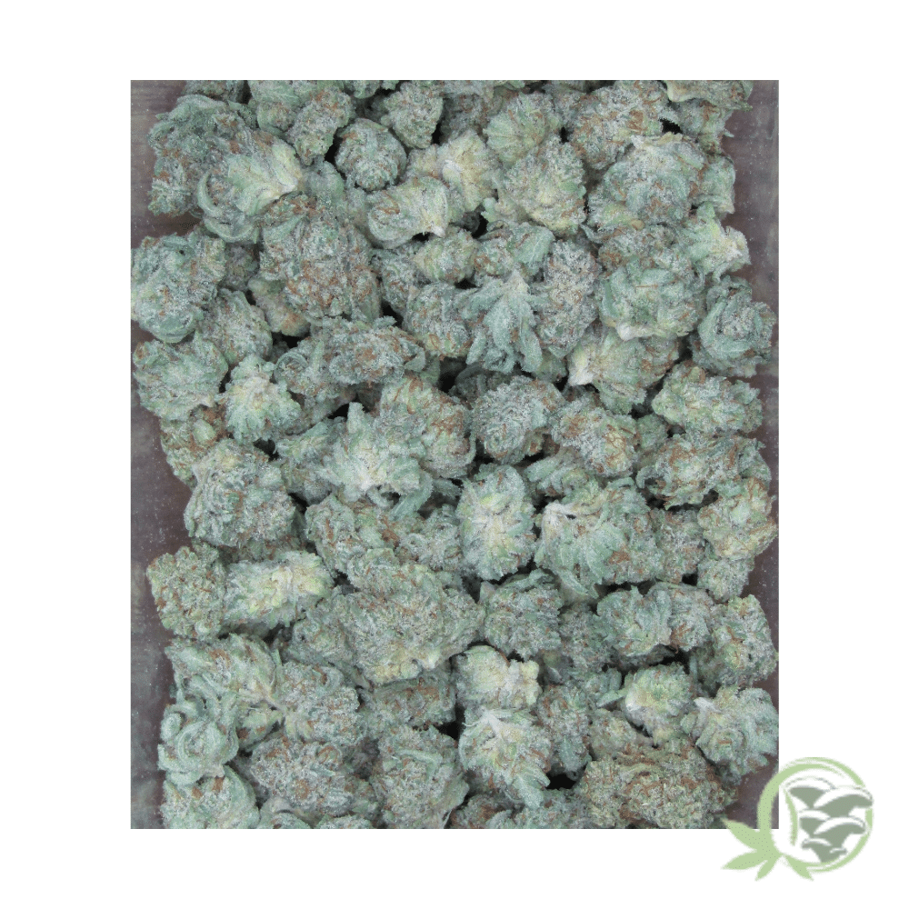Super Lemon Haze THC Strain (Mids)