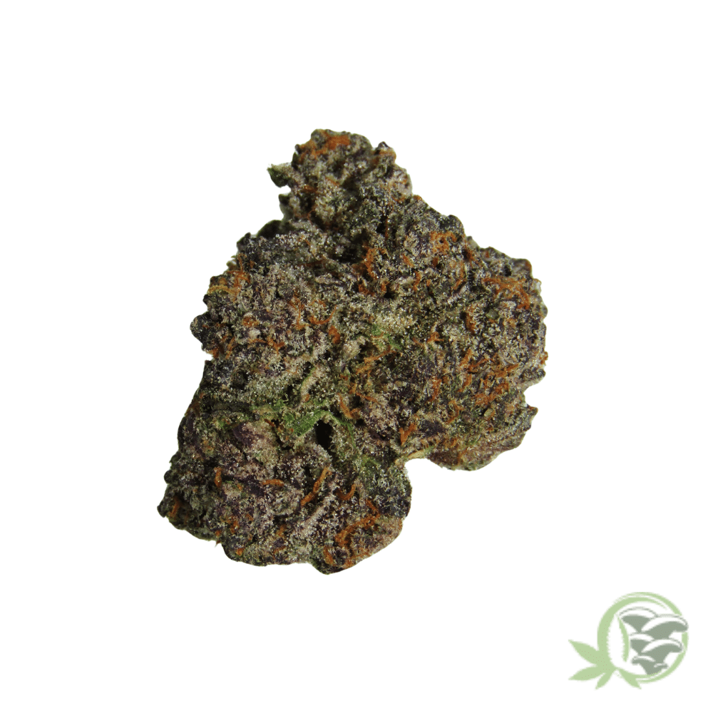 Bacio Gelato - Image 2