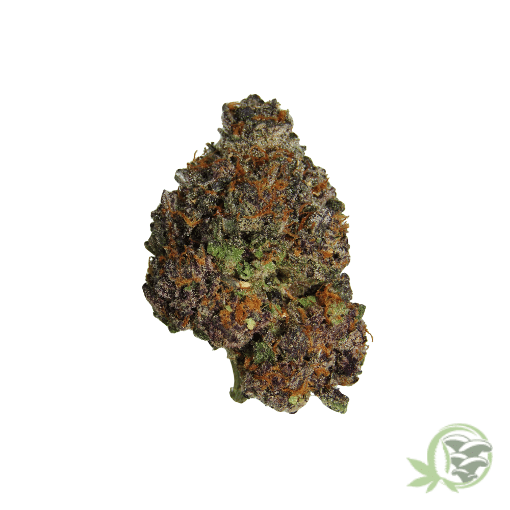 Bacio Gelato - Image 5