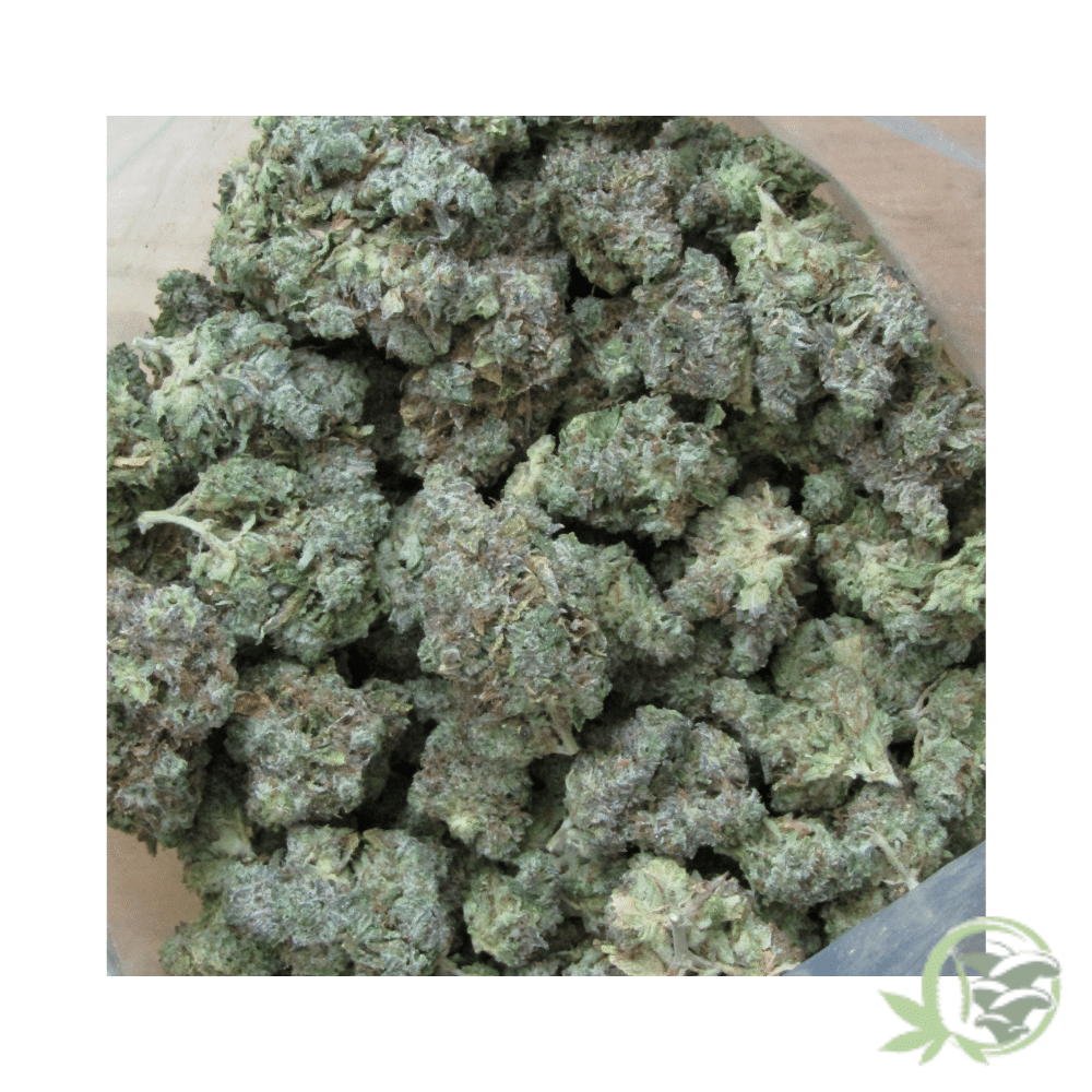 Death Star Cannabis