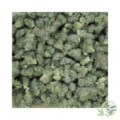 Death Star Cannabis (Mids)