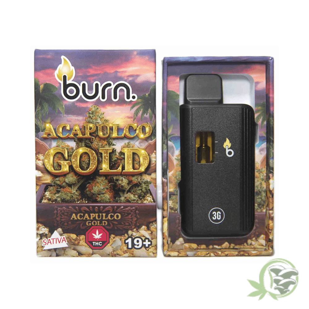 Burn - 3 Gram Disposables - Image 2