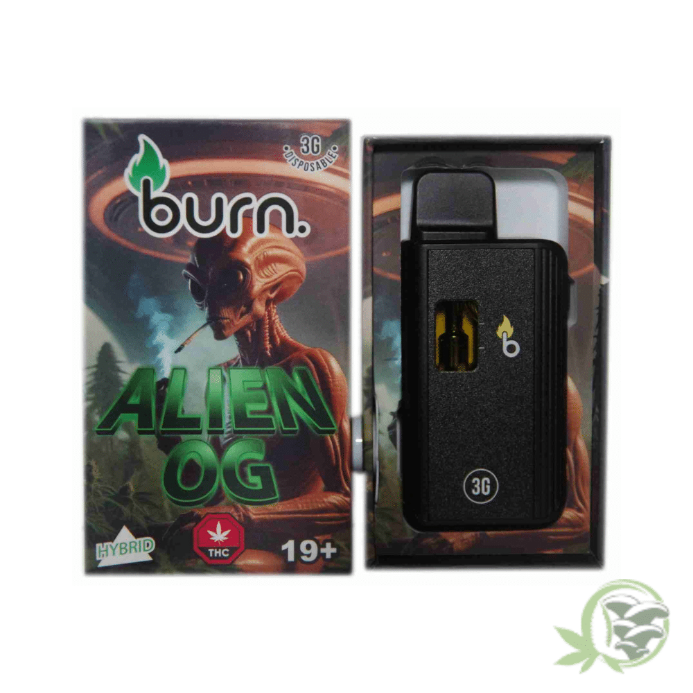 Burn - 3 Gram Disposables - Image 3