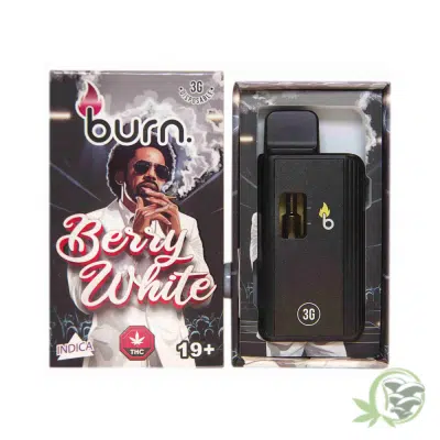 Burn - 3 Gram Disposables
