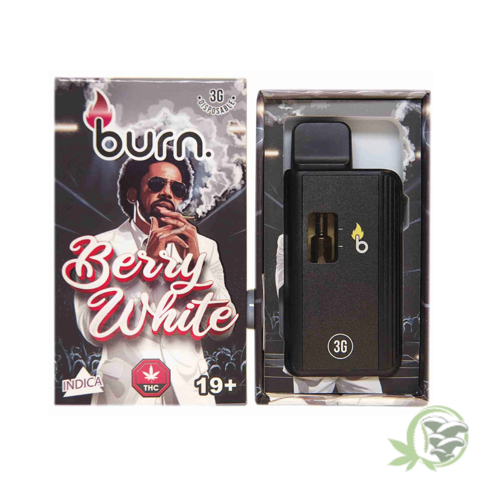 Burn - 3 Gram Disposables