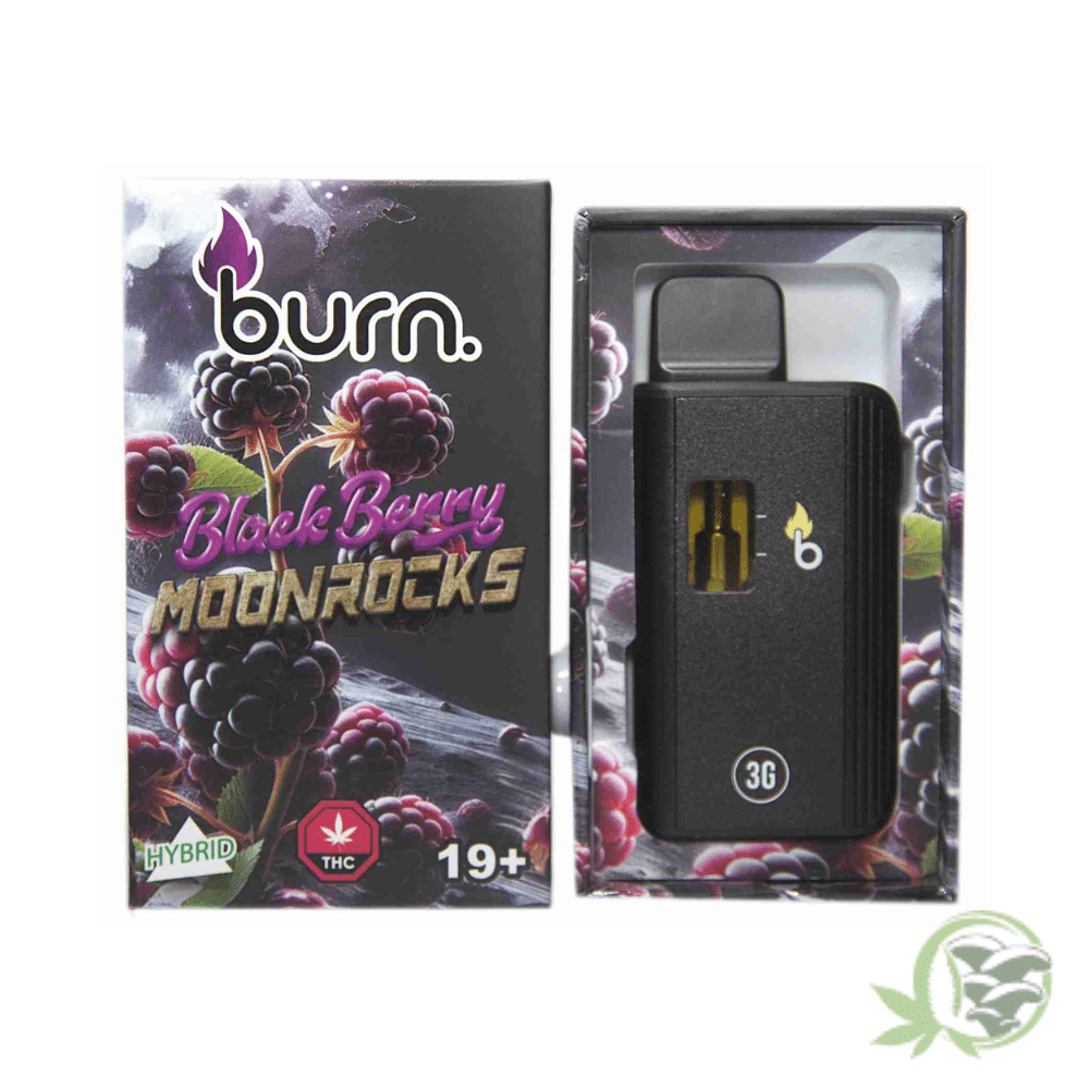 Burn - 3 Gram Disposables - Image 4