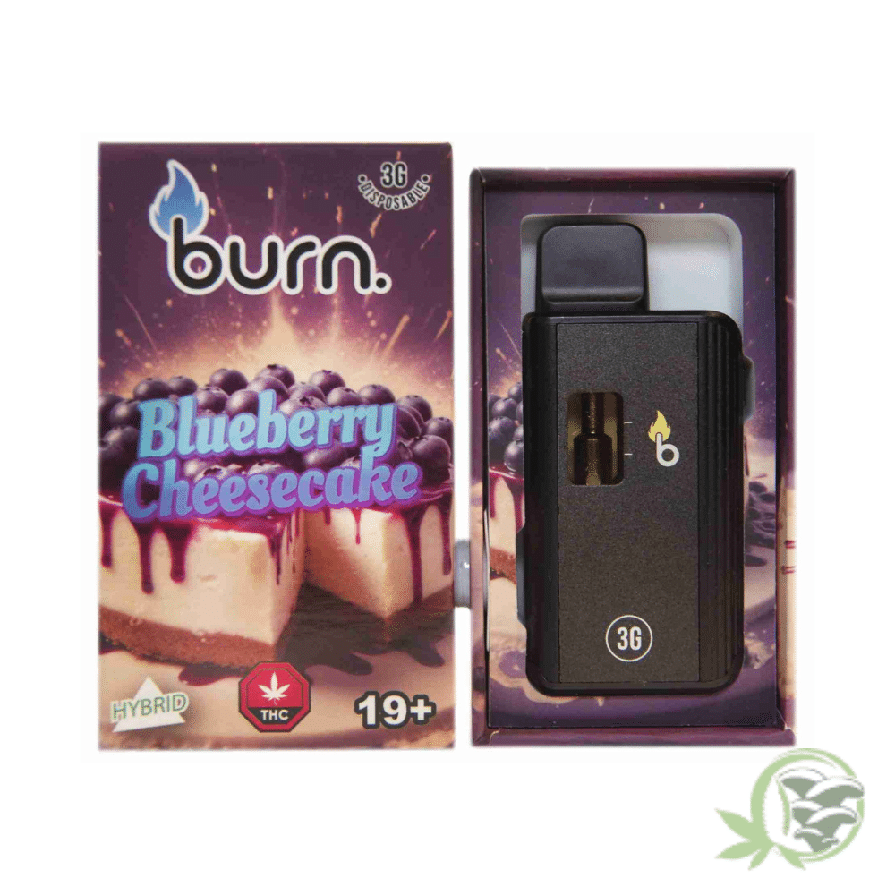 Burn - 3 Gram Disposables - Image 5