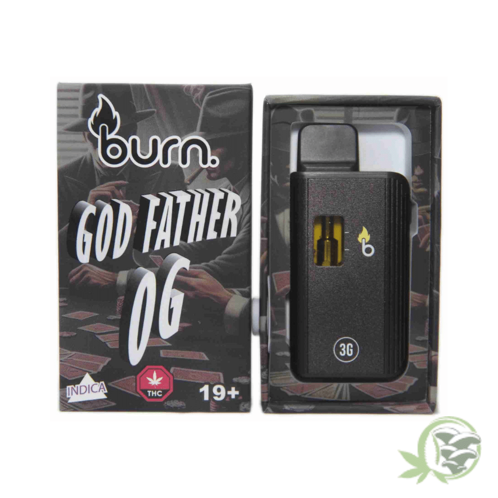 Burn - 3 Gram Disposables - Image 8