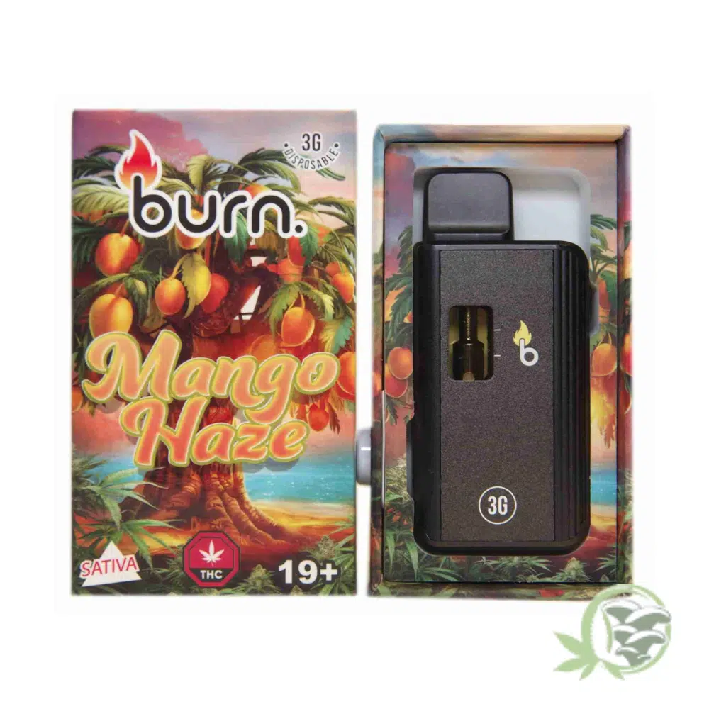 Burn - 3 Gram Disposables - Image 10