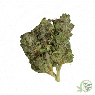 Death Star Hybrid