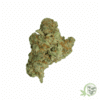Gelato