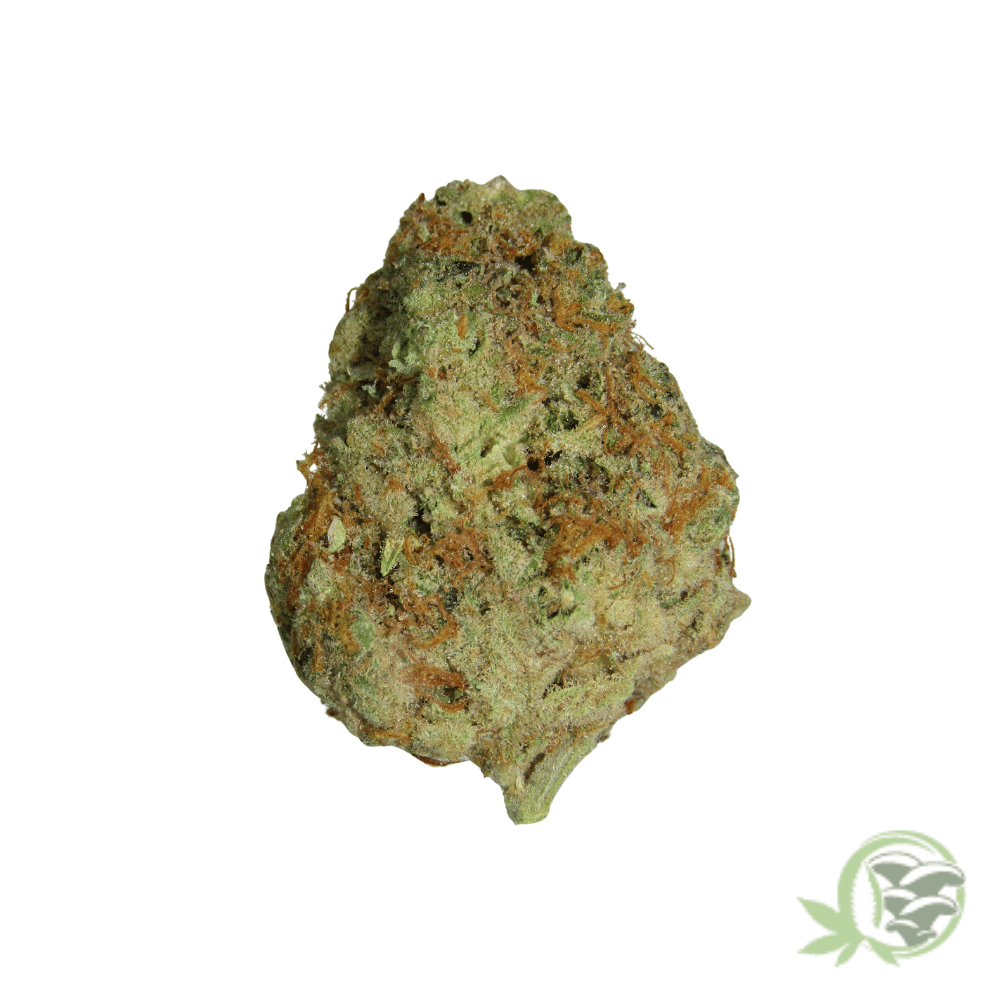 Gelato - Image 2