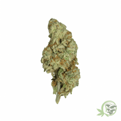 Ice Cream Cake Marijuana