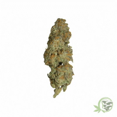 Ice Cream Cake Weed