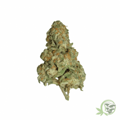 Ice Cream Cake Cannabis