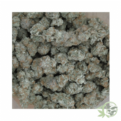 Ice Cream Cake Strain