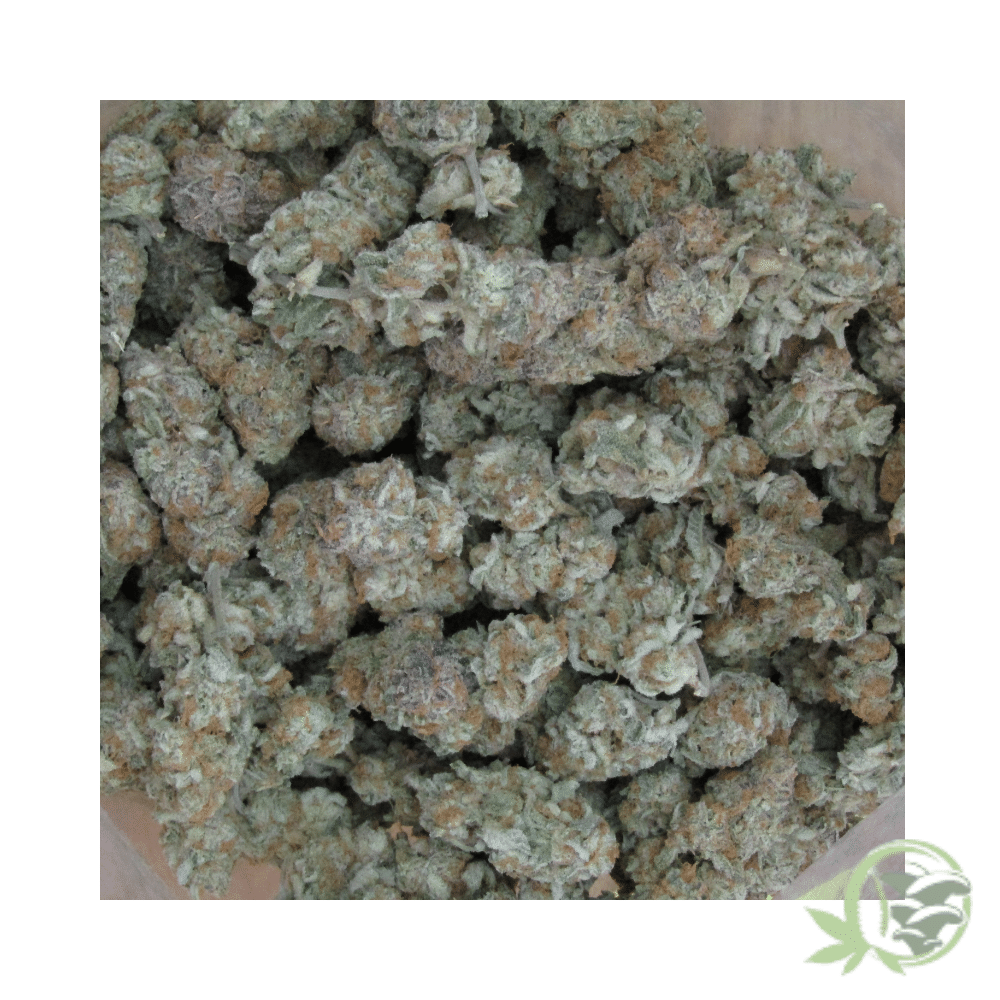 Ice Cream Cake Strain
