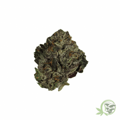 Lindsay OG Hybrid (Mids)