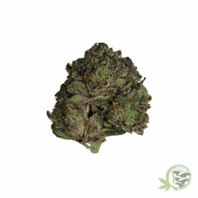 Lindsay OG (Mids)