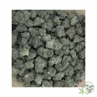 Lindsay OG Strain (Mids)