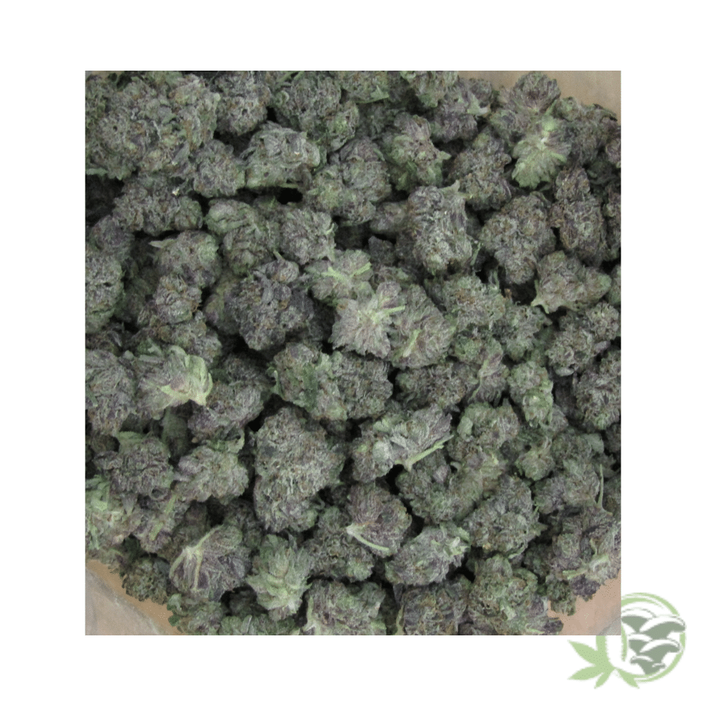 Lindsay OG Strain (Mids)