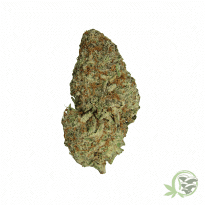 MAC Strain