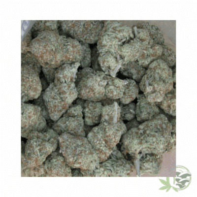 MAC Strain