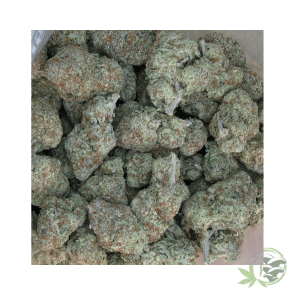 MAC Strain