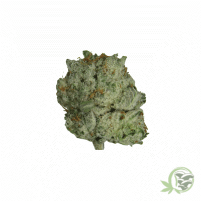 Miracle Alien Cookies (Smalls)