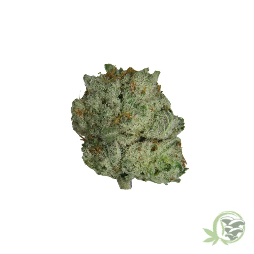 Miracle Alien Cookies (Smalls)