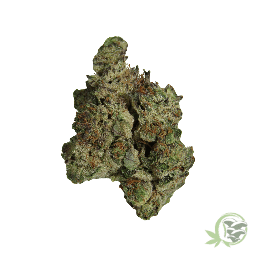 Pink Kush Marijuana