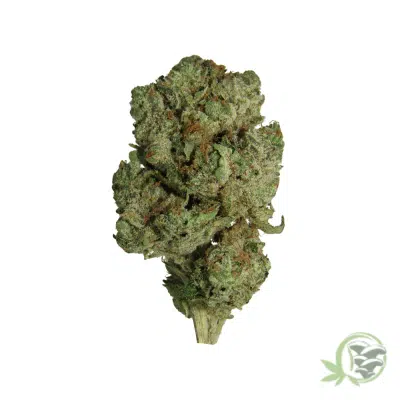 Pink Kush