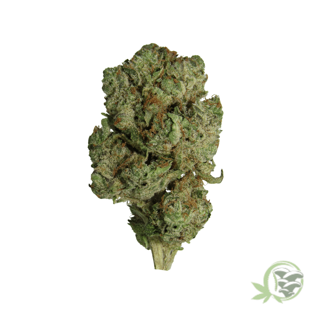 Pink Kush Indica