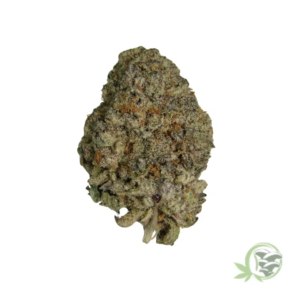 Strawberry Cough - Image 4