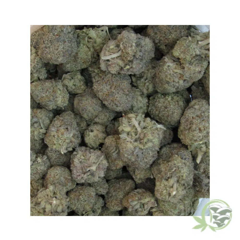 Strawberry Cough - Image 5