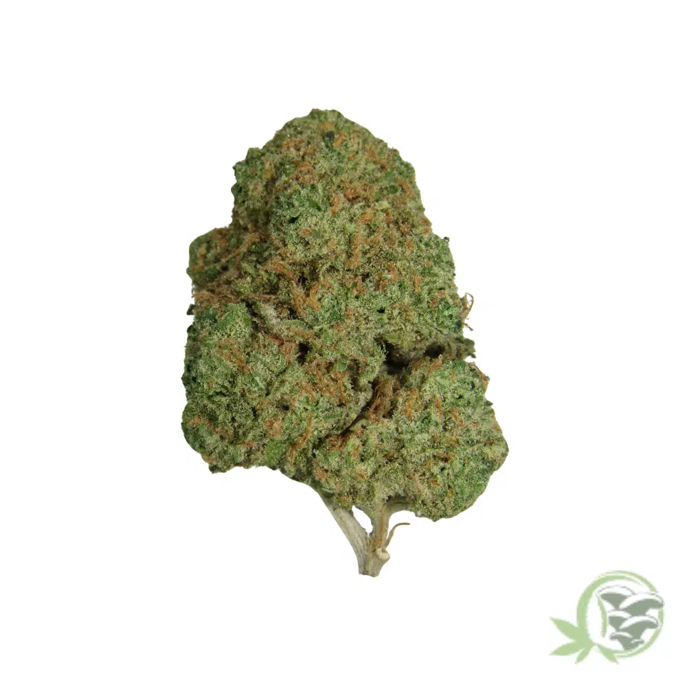 Super Silver Haze - Image 4