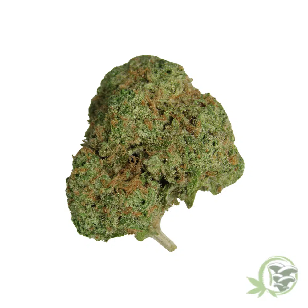 Super Silver Haze - Image 3