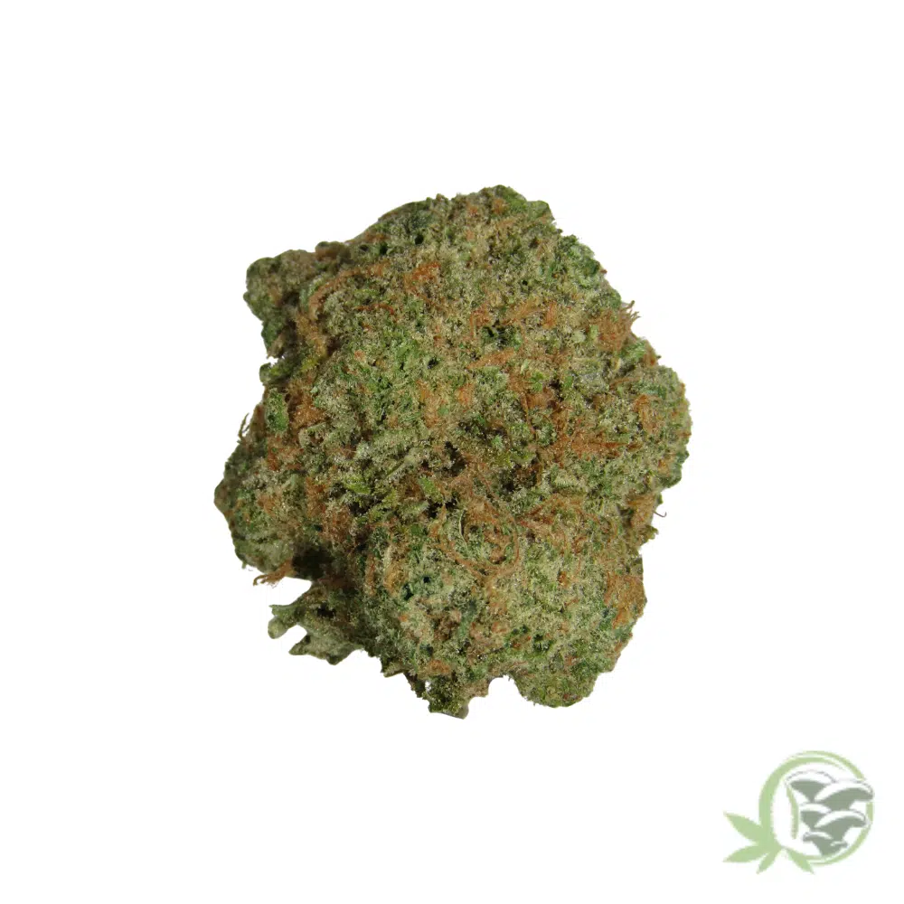 Super Silver Haze - Image 2